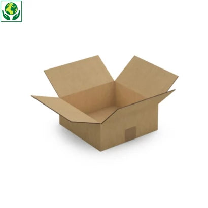 Caisse carton double cannelure 25 x 25 x 10 cm