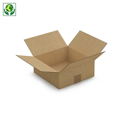 Caisse carton simple cannelure 25 x 25 x 10 cm