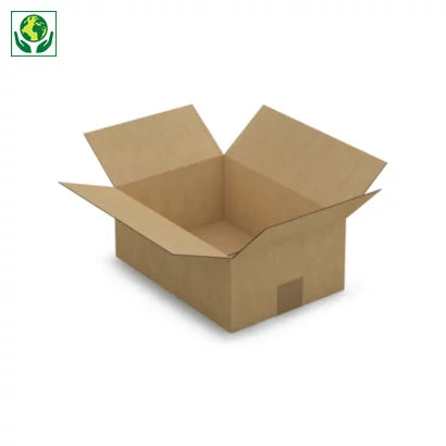 Caisse carton simple cannelure 31 x 22 x 12 cm
