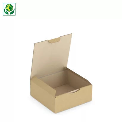 Boîte postale carton brune 15 x 15 x 6 cm