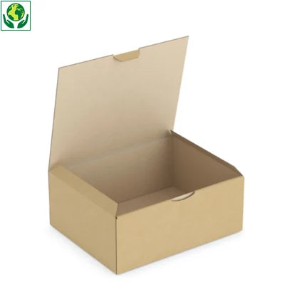 Boîte postale carton brune 25 x 20 x 10 cm